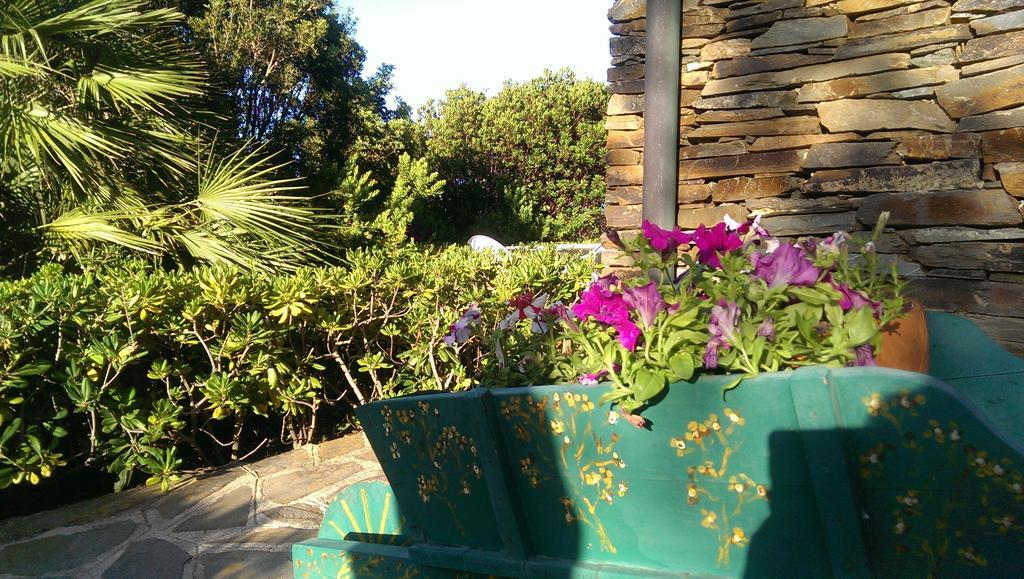 B&B Sa Serra Stintino Rom bilde